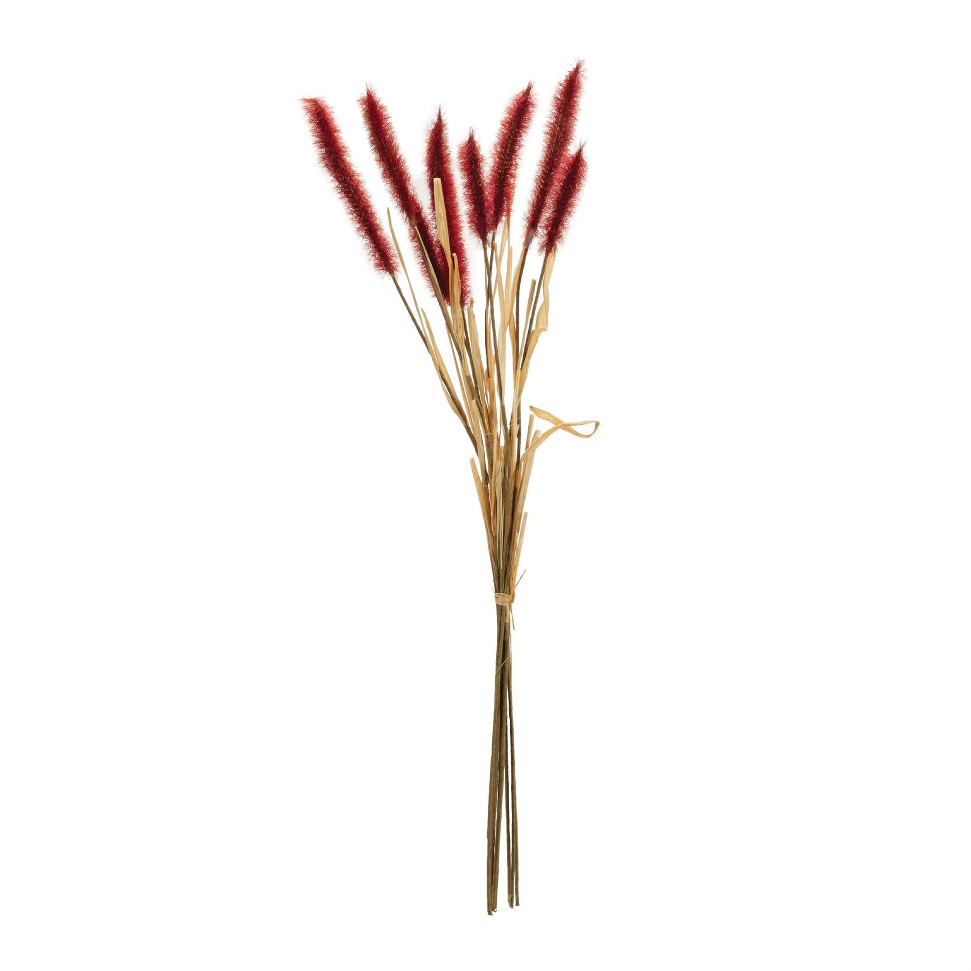 Fall Foxtail Grass Bundle (Set of 6)