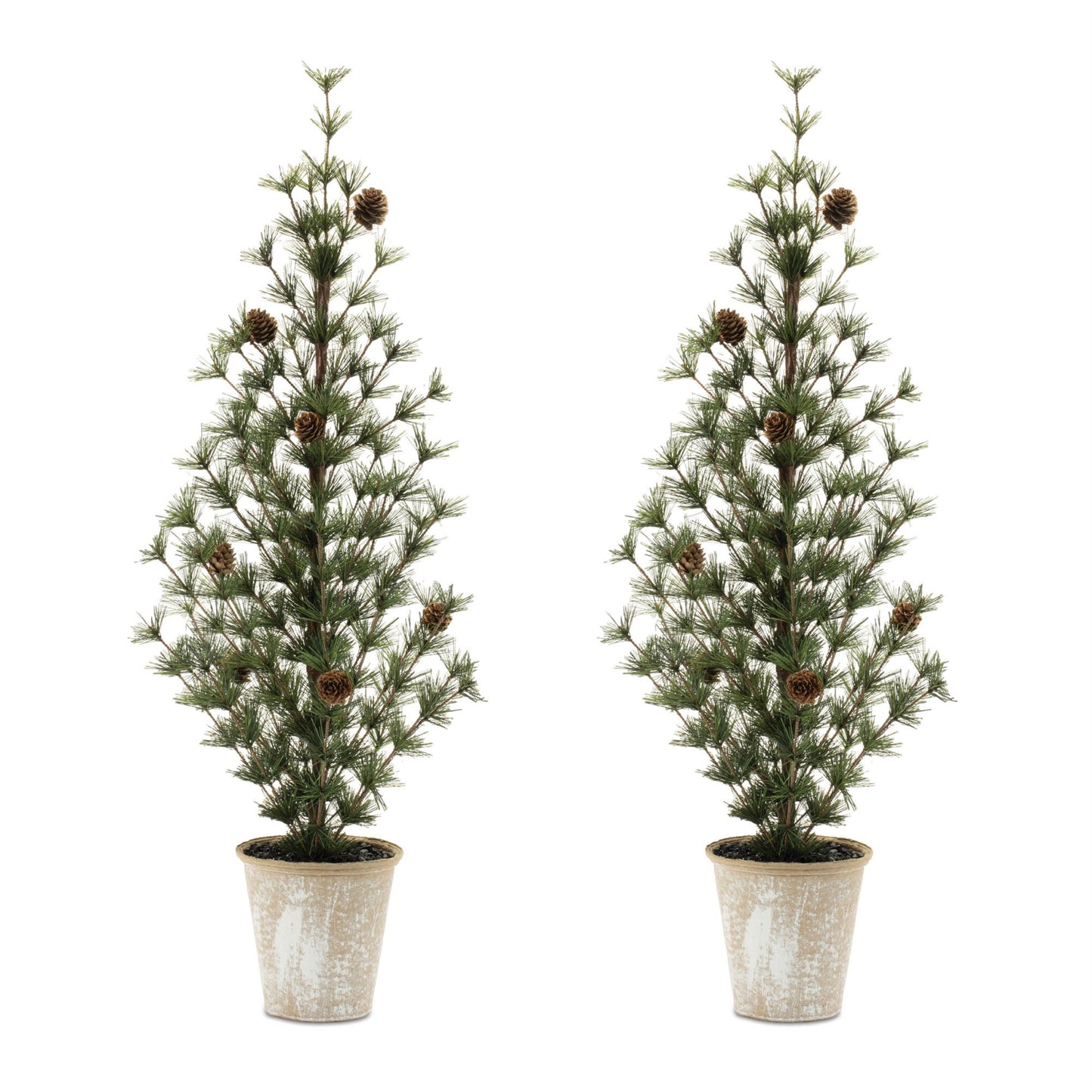 Potted Mini Pine Tree (Set of 2)