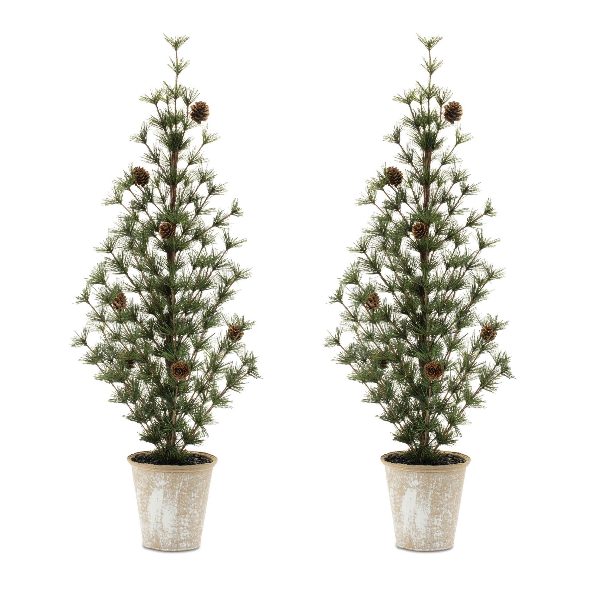Potted Mini Pine Tree (Set of 2)