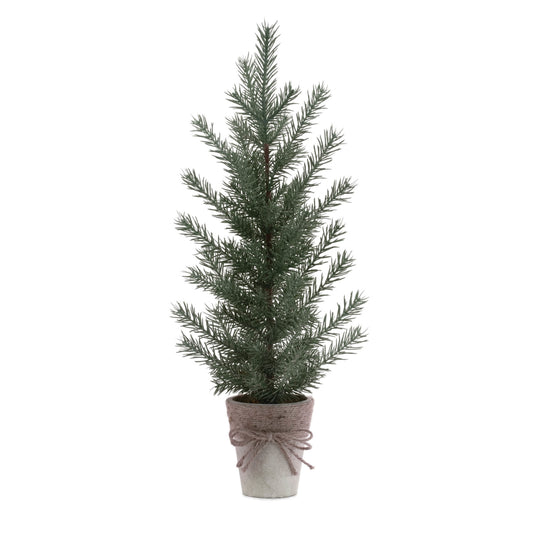 Potted Mini Pine Tree (Set of 2)