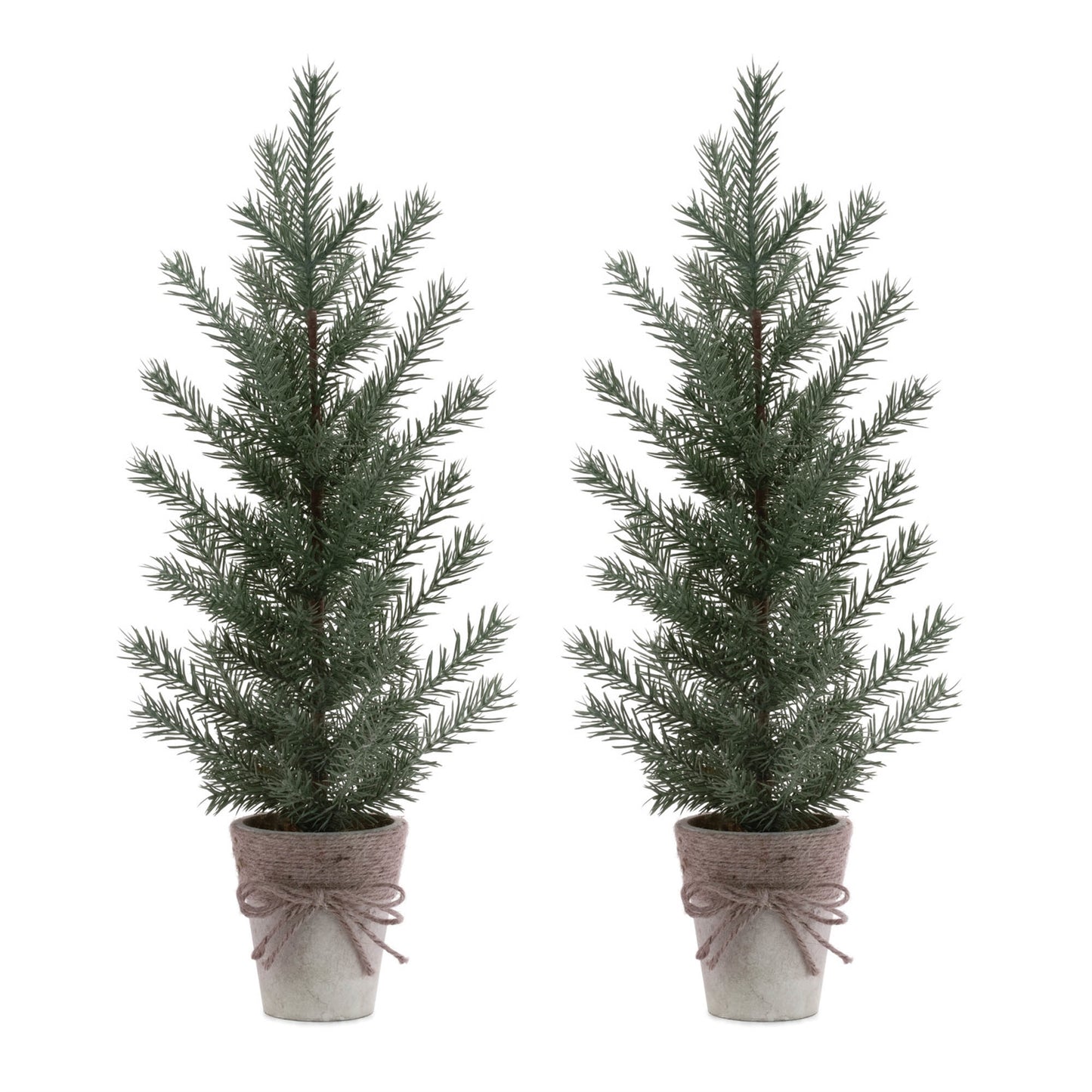Potted Mini Pine Tree (Set of 2)