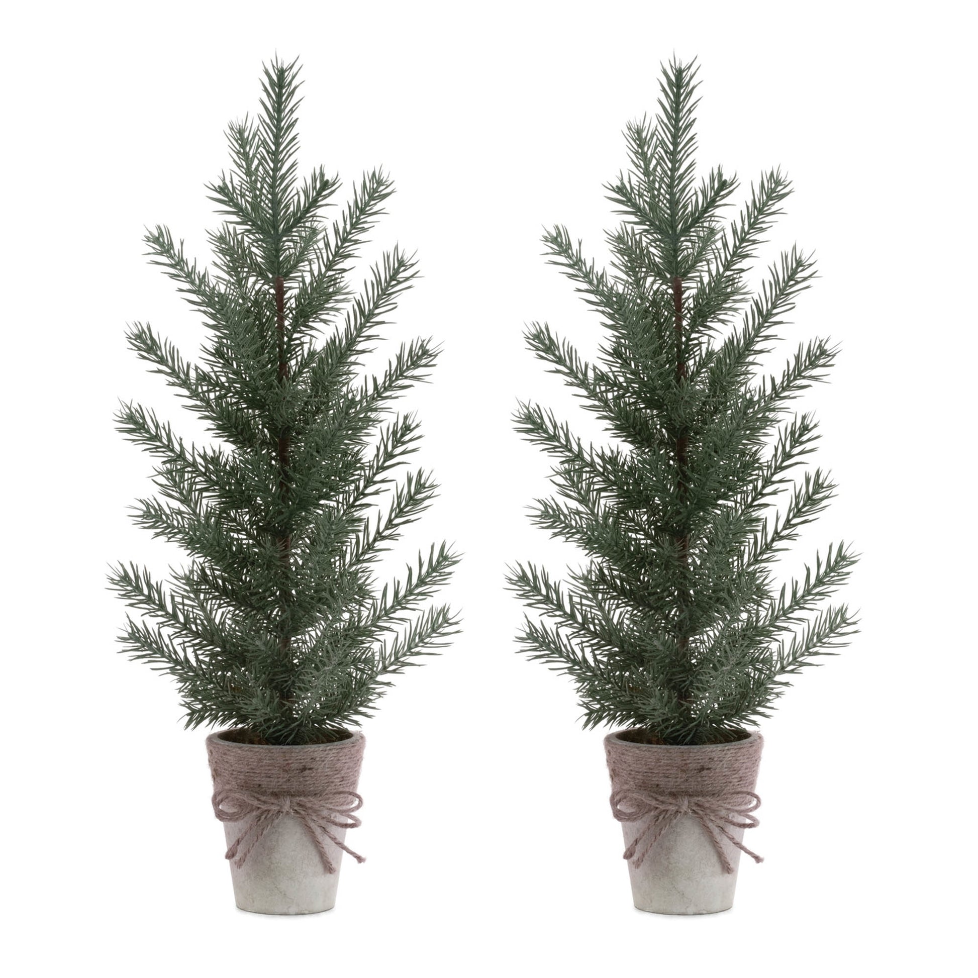 Potted Mini Pine Tree (Set of 2)