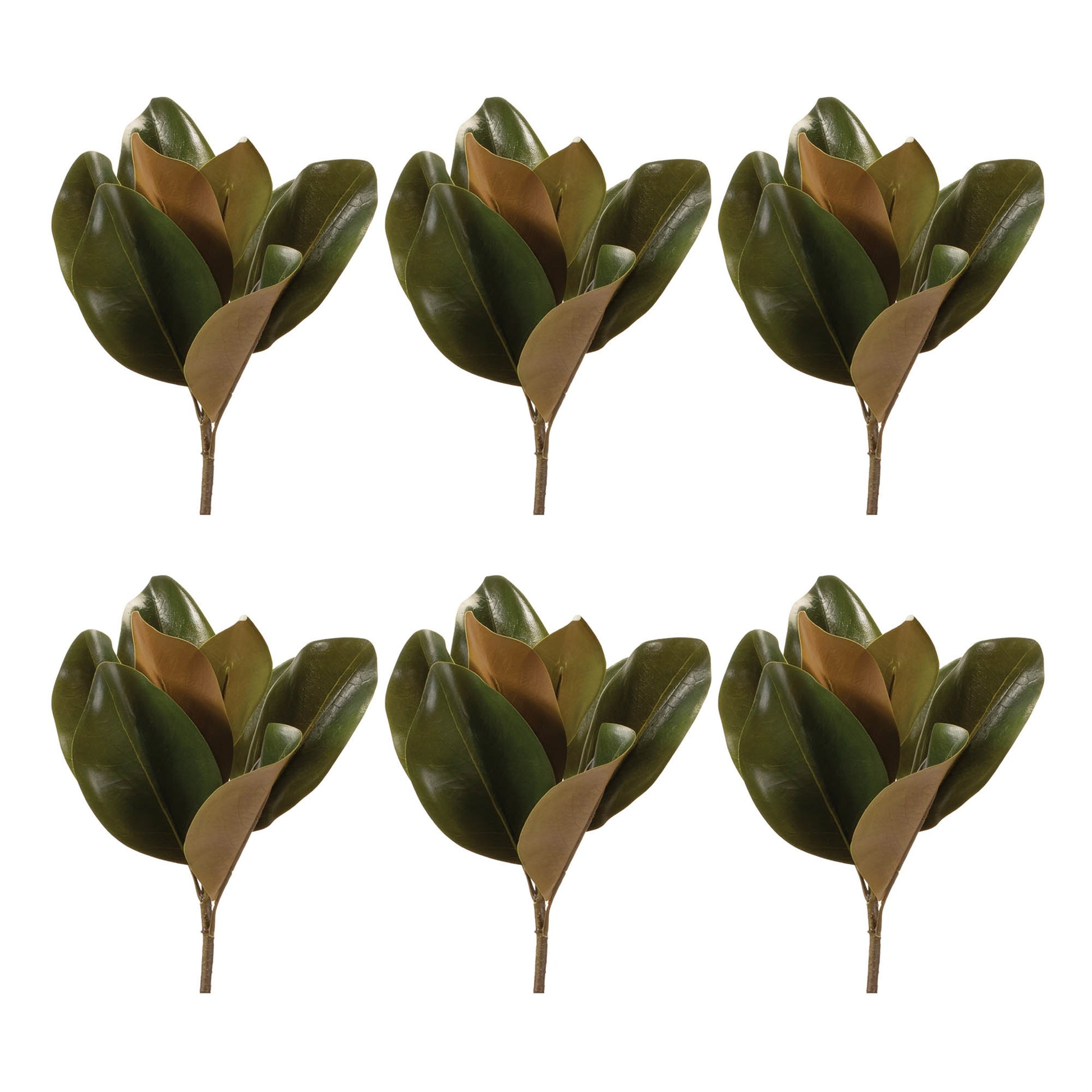 Magnolia Leaf Spray (Set of 6)