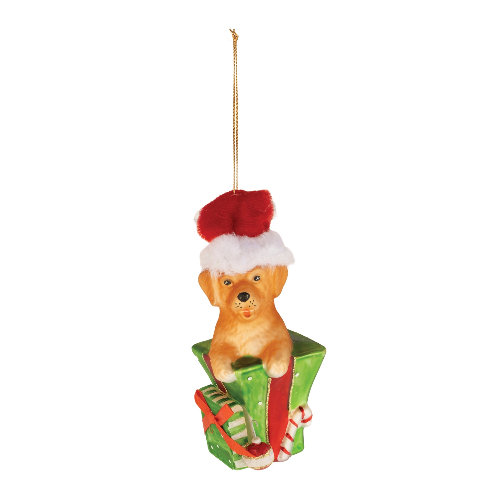 Puppy in Package Ornament (Set of 6)