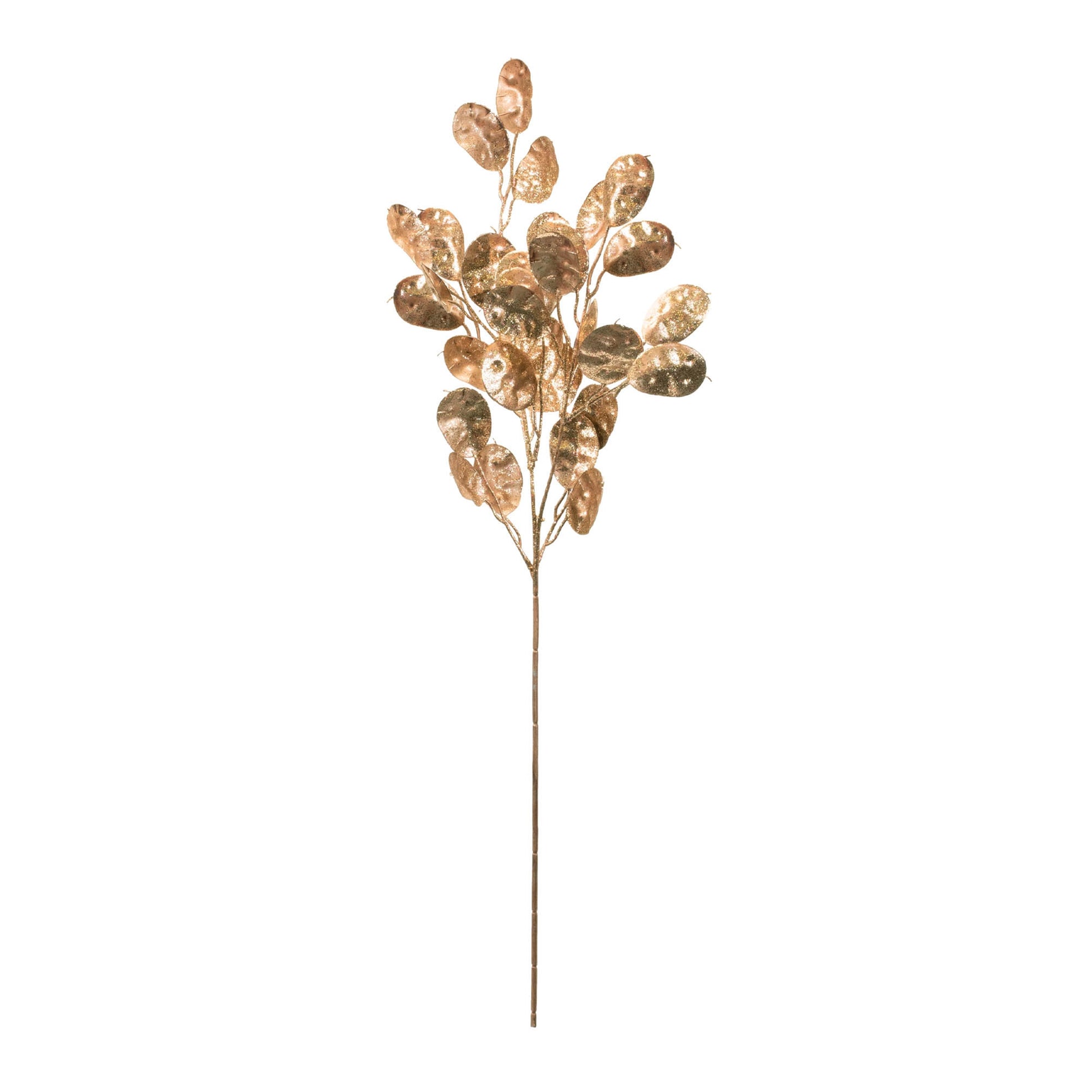Silver Dollar Spray (Set of 6) 26"H