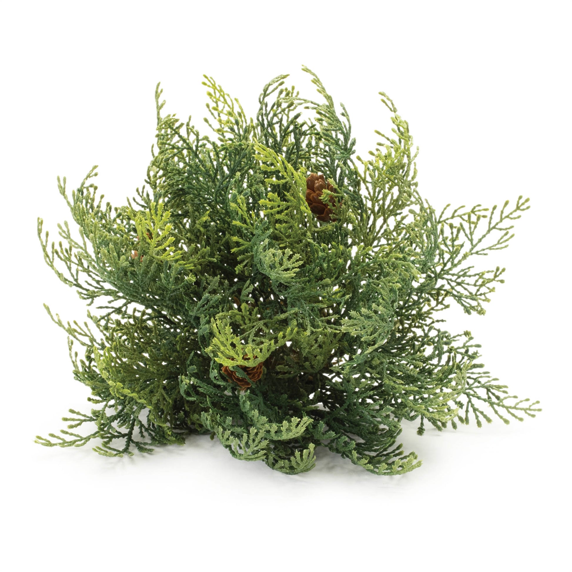 Cedar Pinecone Half Ord (Set of 2)