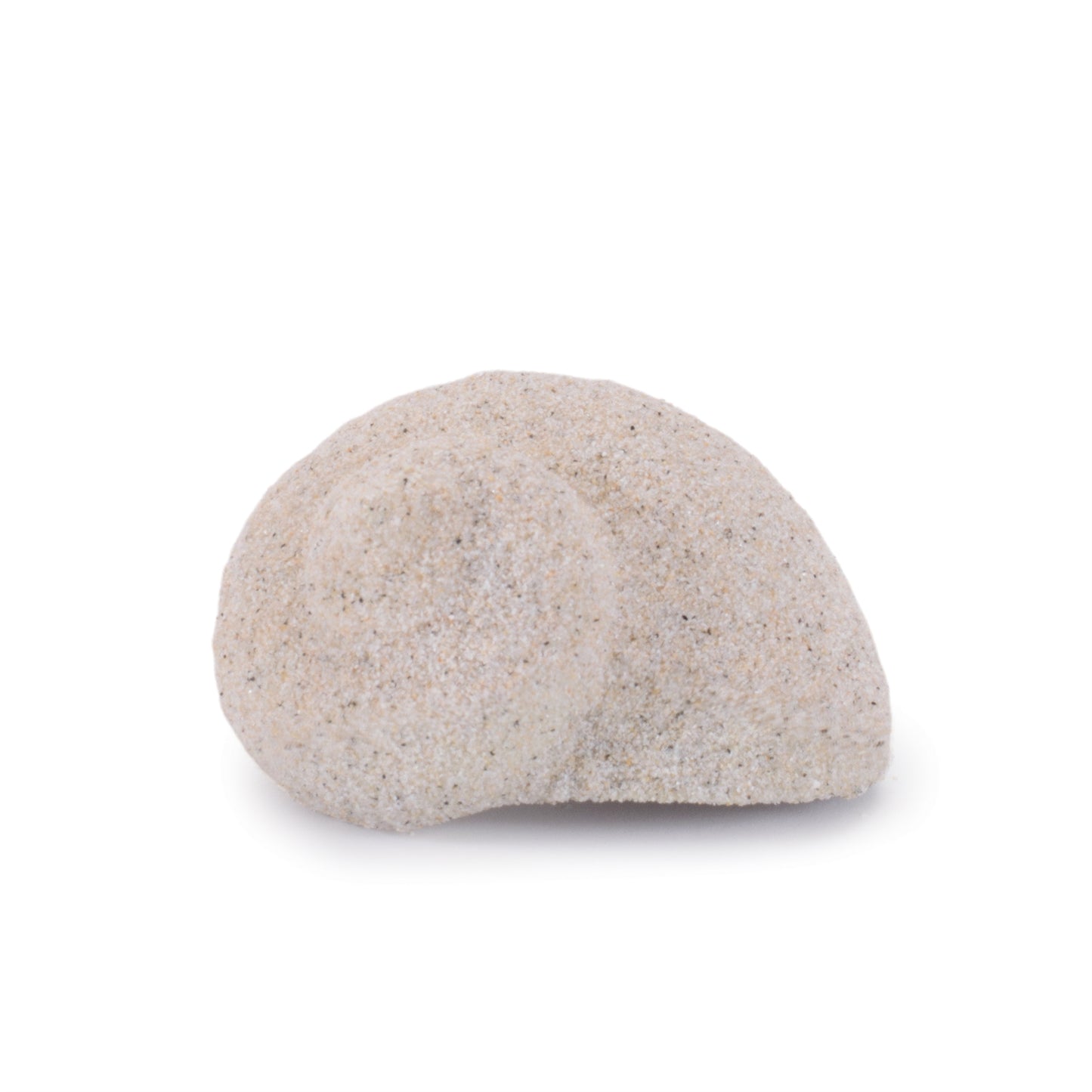 Sea Shell Filler Decor (Set of 12)