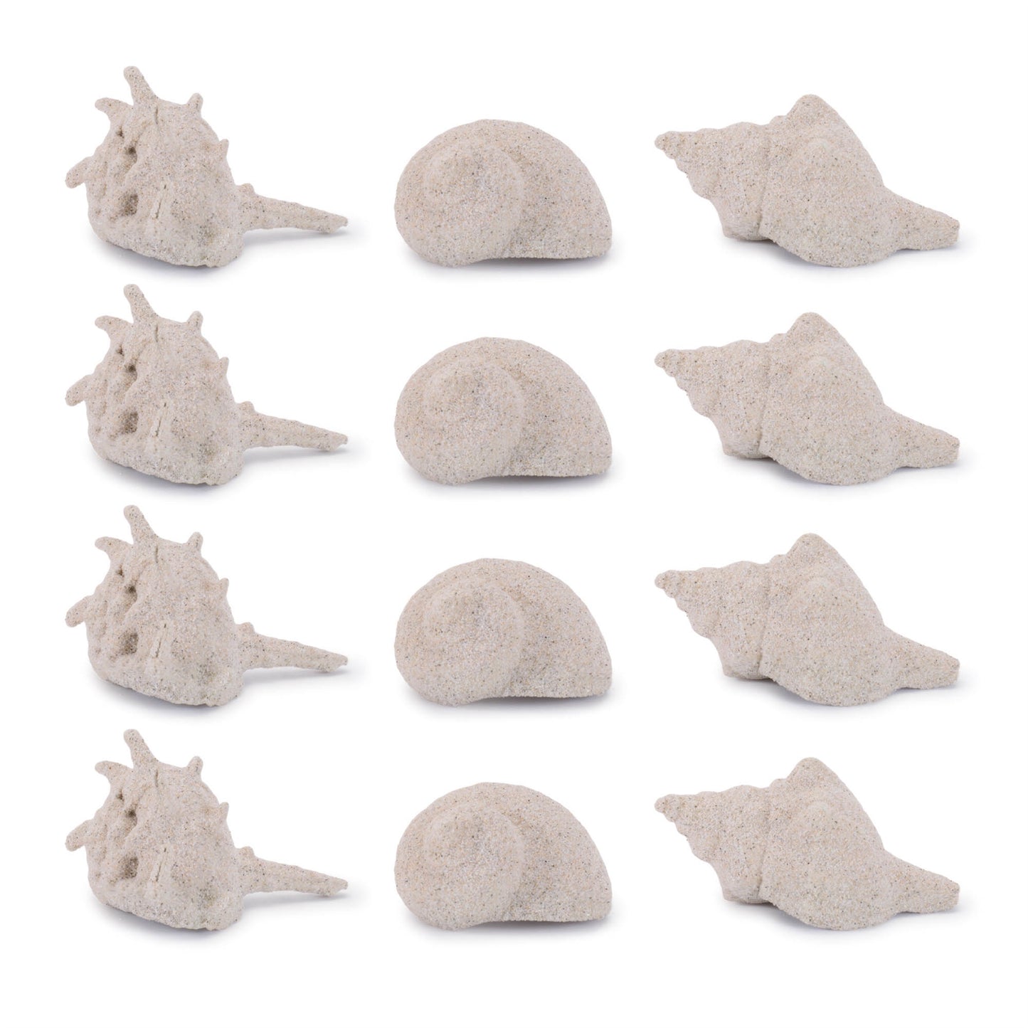 Sea Shell Filler Decor (Set of 12)