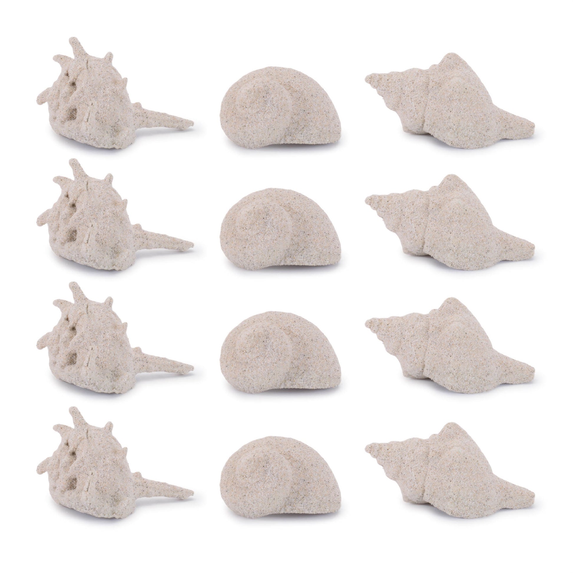 Sea Shell Filler Decor (Set of 12)