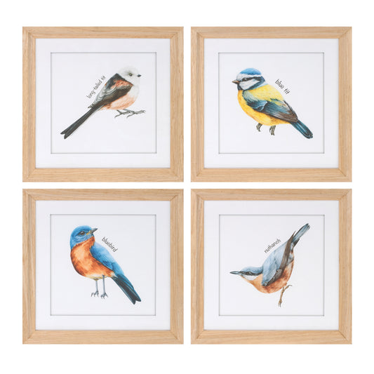 Framed Bird Print Under Glass (Set of 8)