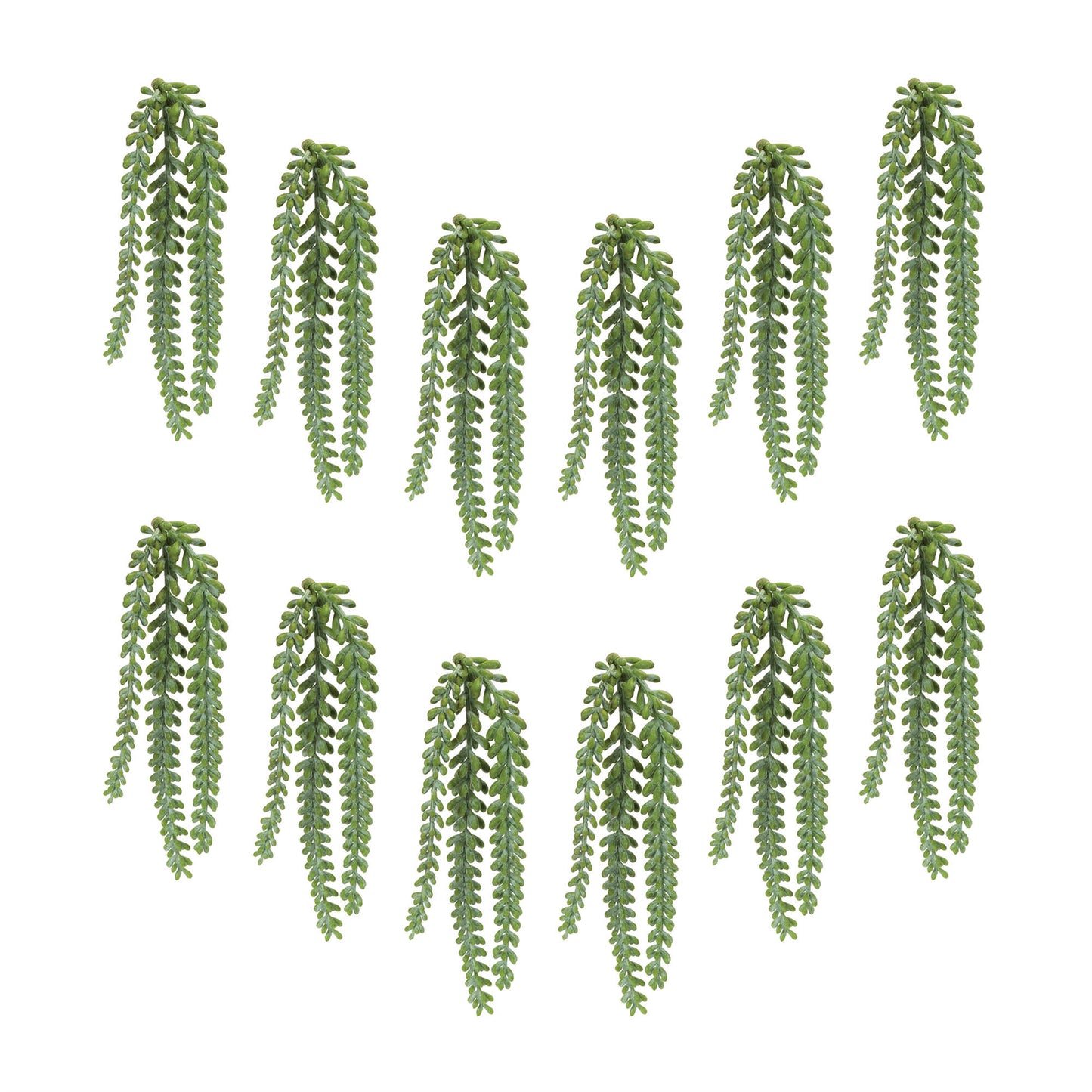 Hanging Sedum Succulent Spray (Set of 12)