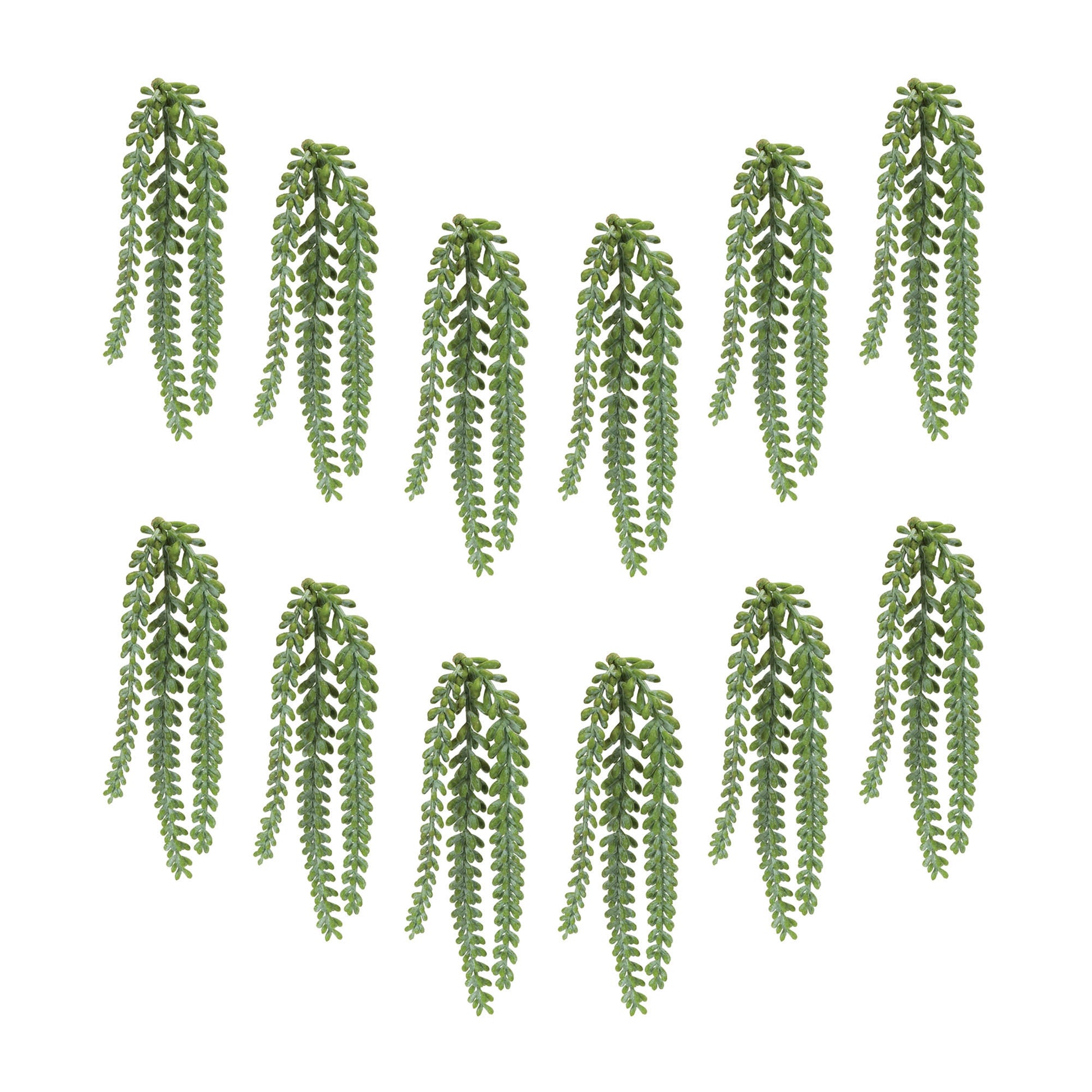 Hanging Sedum Succulent Spray (Set of 12)