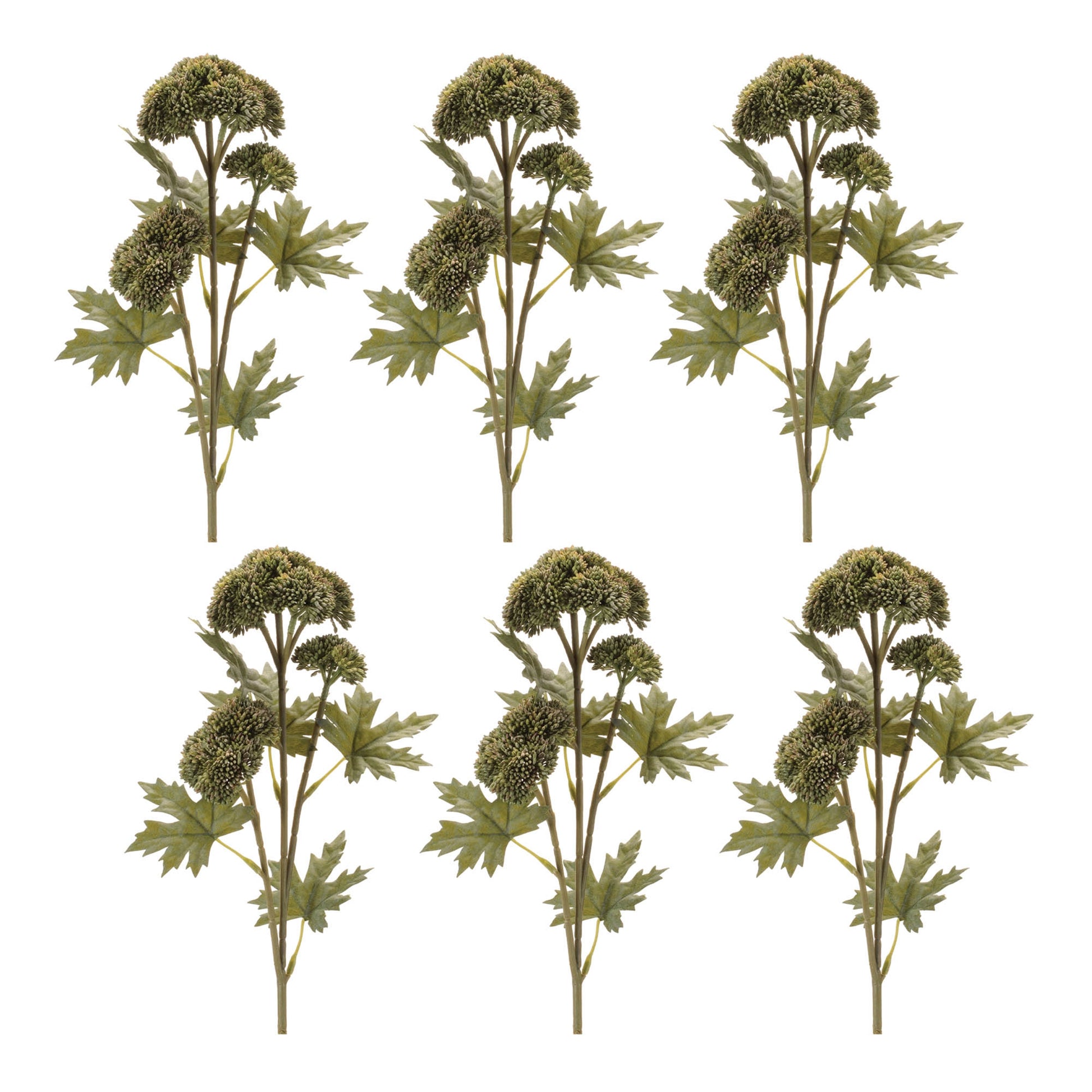 Sedum Succulent Spray (Set of 6)