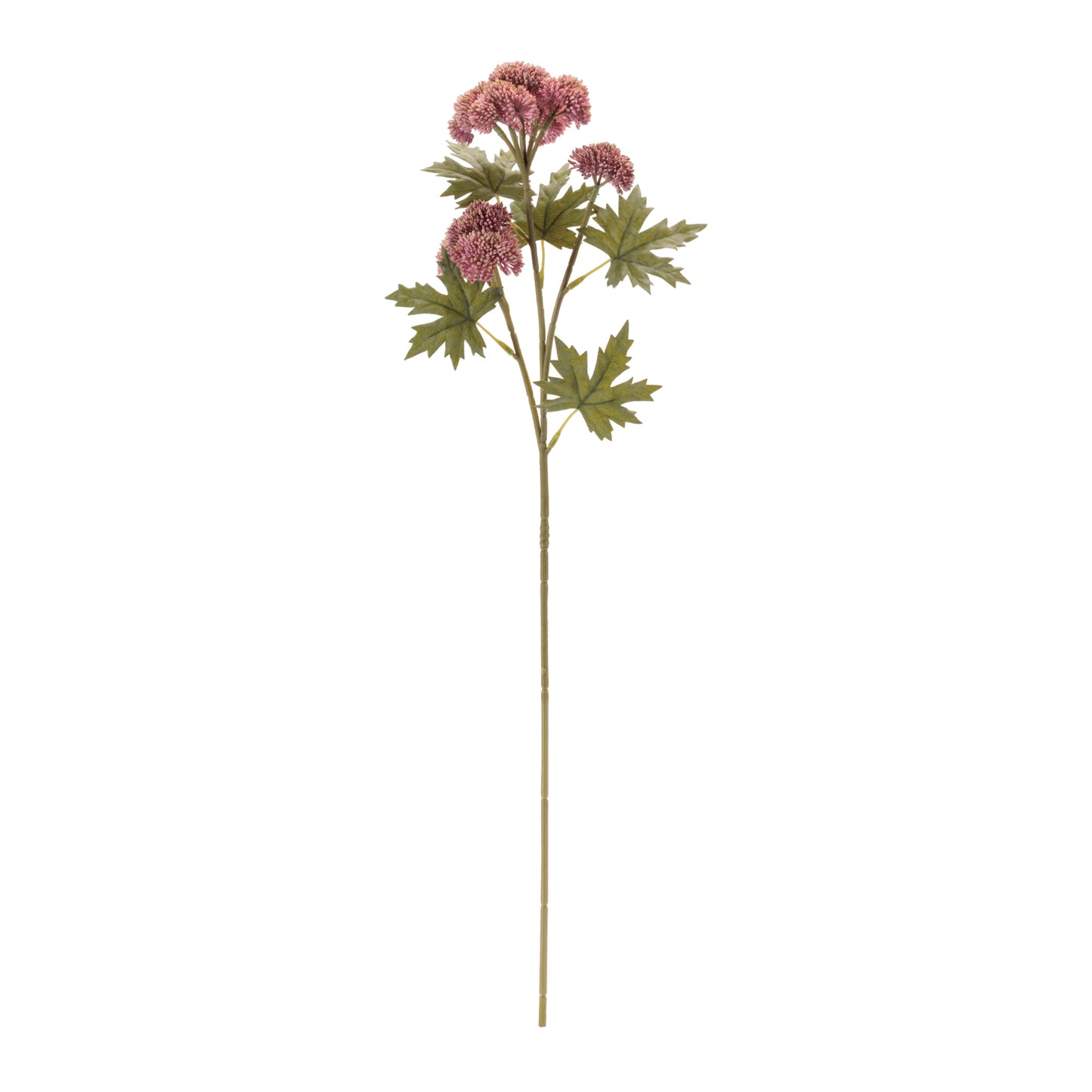 Sedum Succulent Spray (Set of 6)