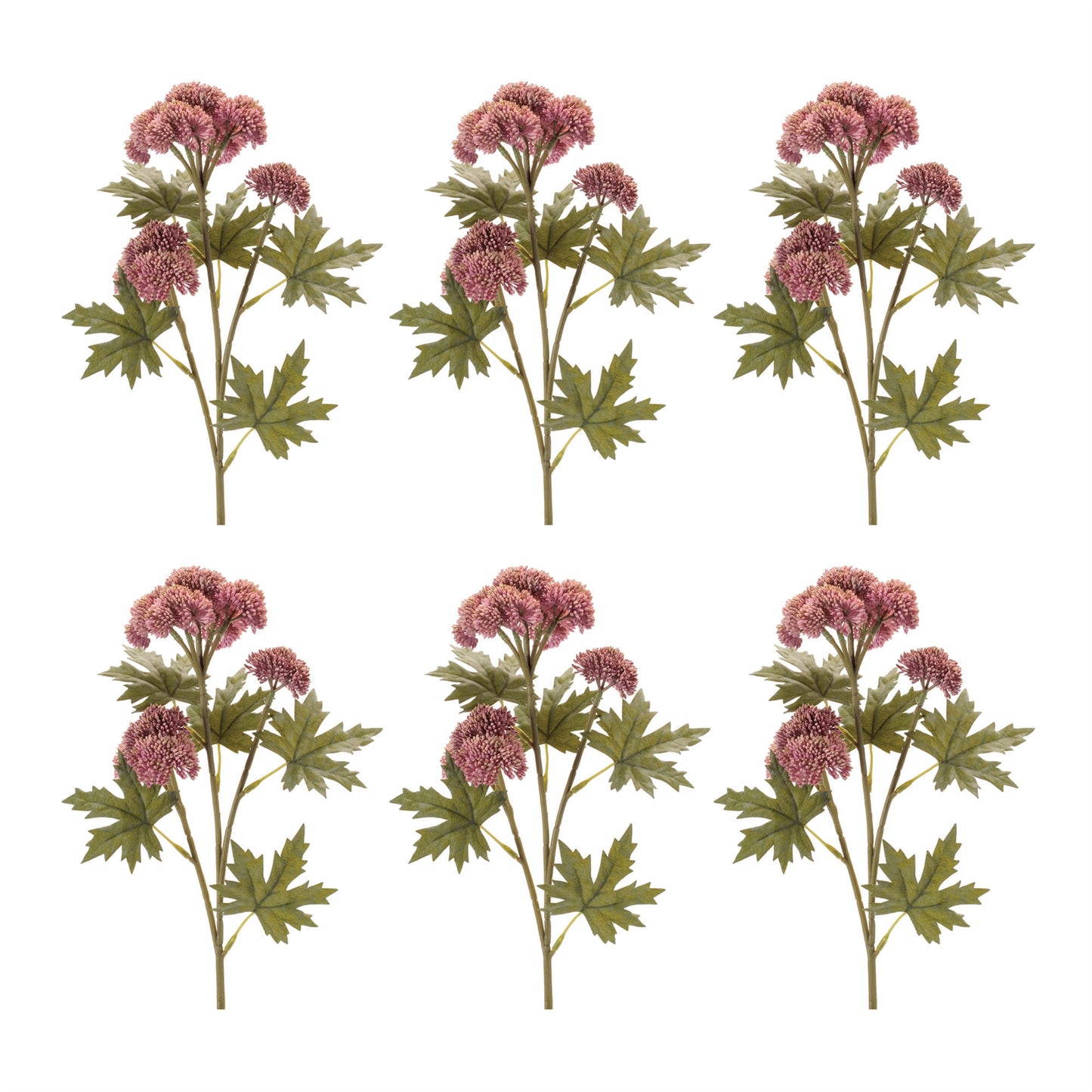 Sedum Succulent Spray (Set of 6)