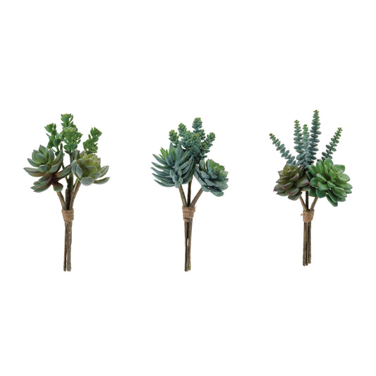 Succulent Bundle (Set of 6)