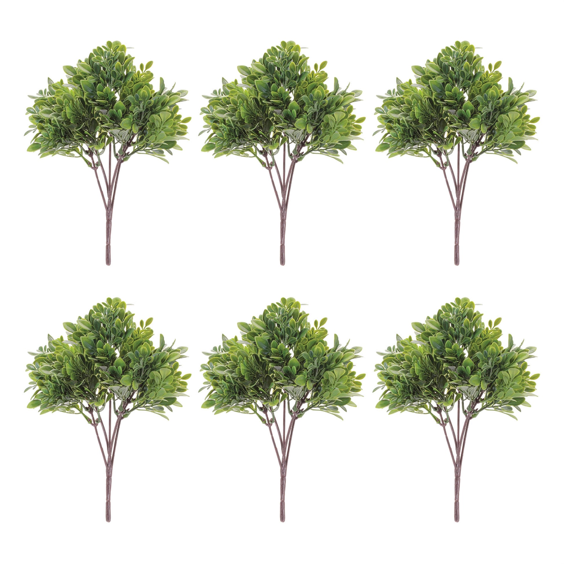 Boxwood Foliage Bush (Set of 6)