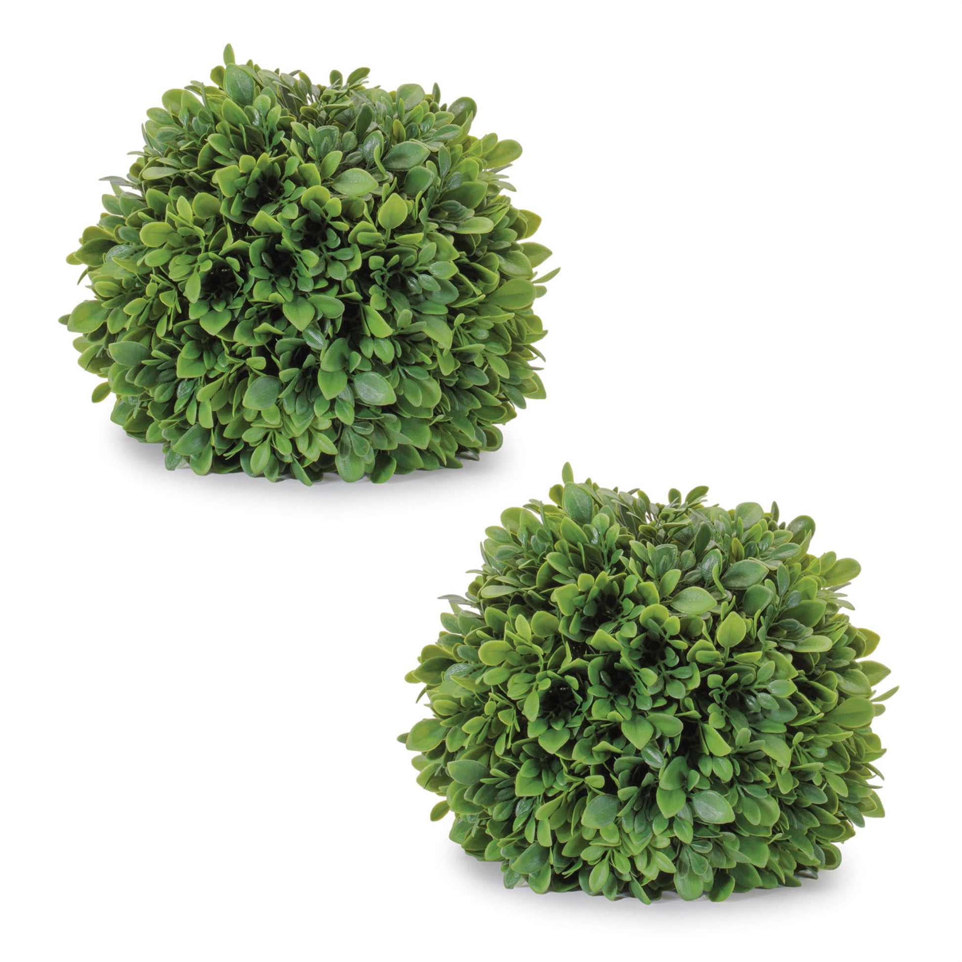 Boxwood Foliage Orb (Set of 2)
