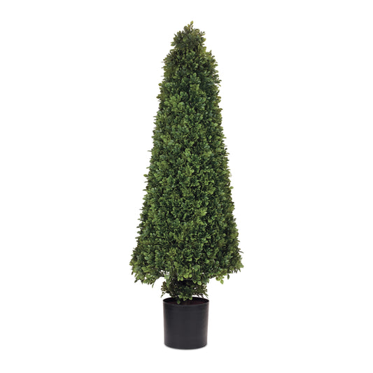 Potted Boxwood Cone Topiary 51"H