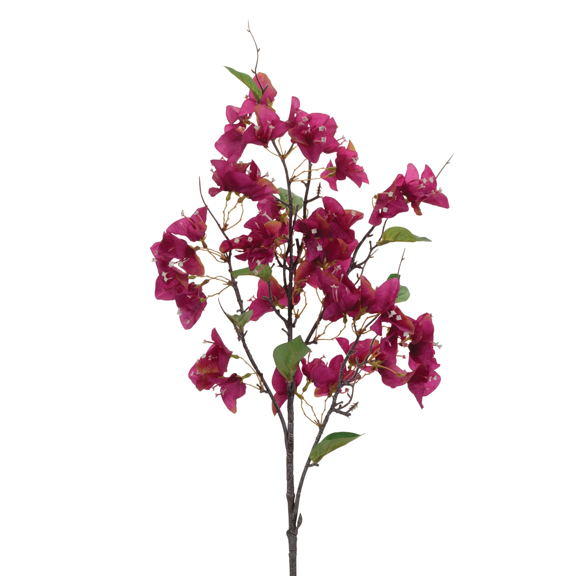 Blossom Floral Branch (Set of 4)