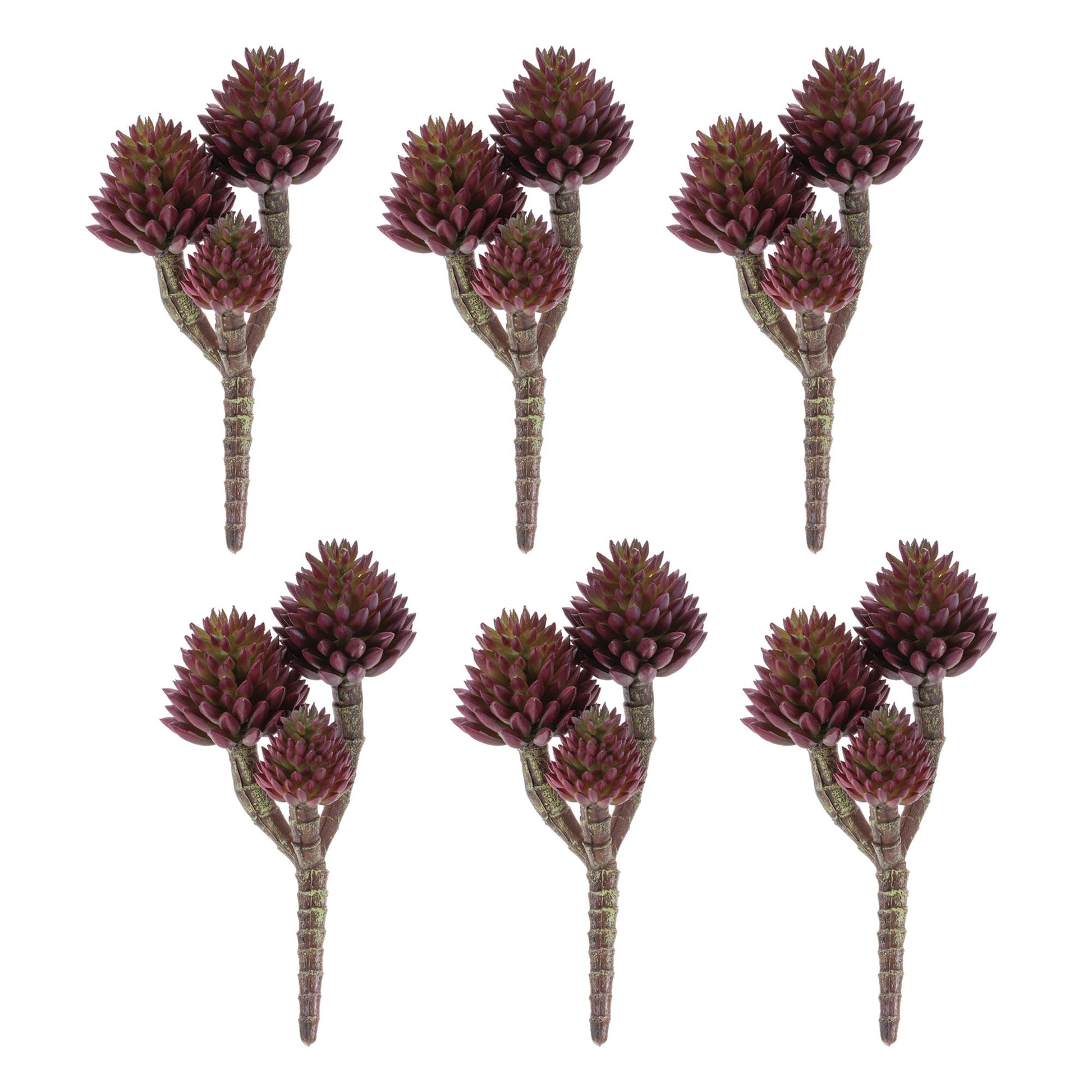 Succulent Plant Pick (Set of 6)