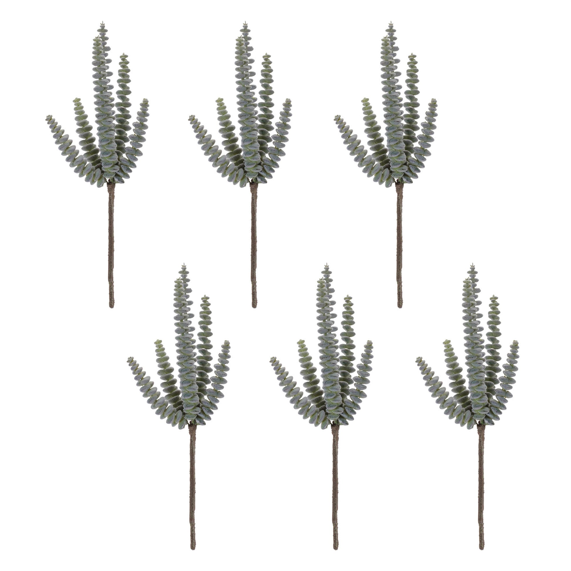 Succulent Plant Pick (Set of 6)