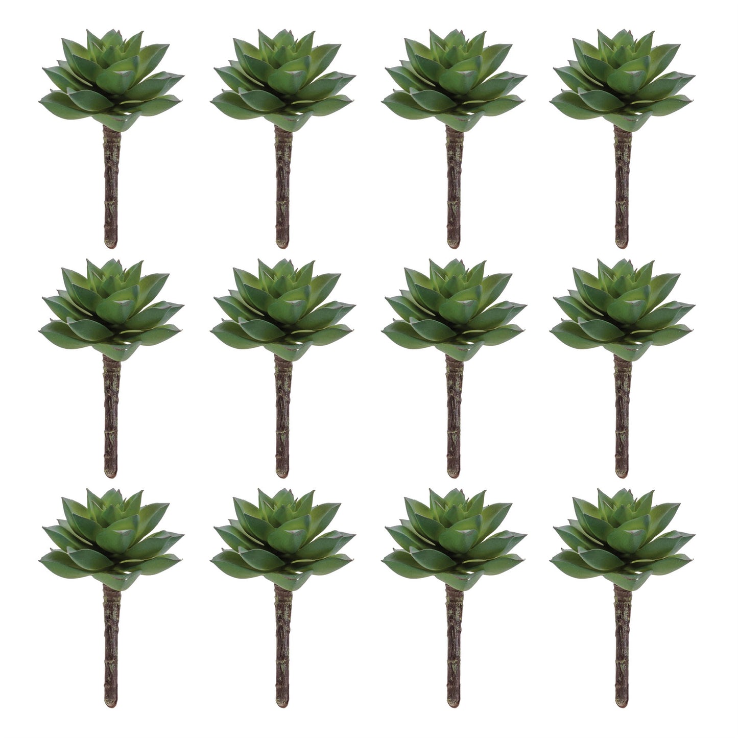 Succulent Plant Pick (Set of 12)