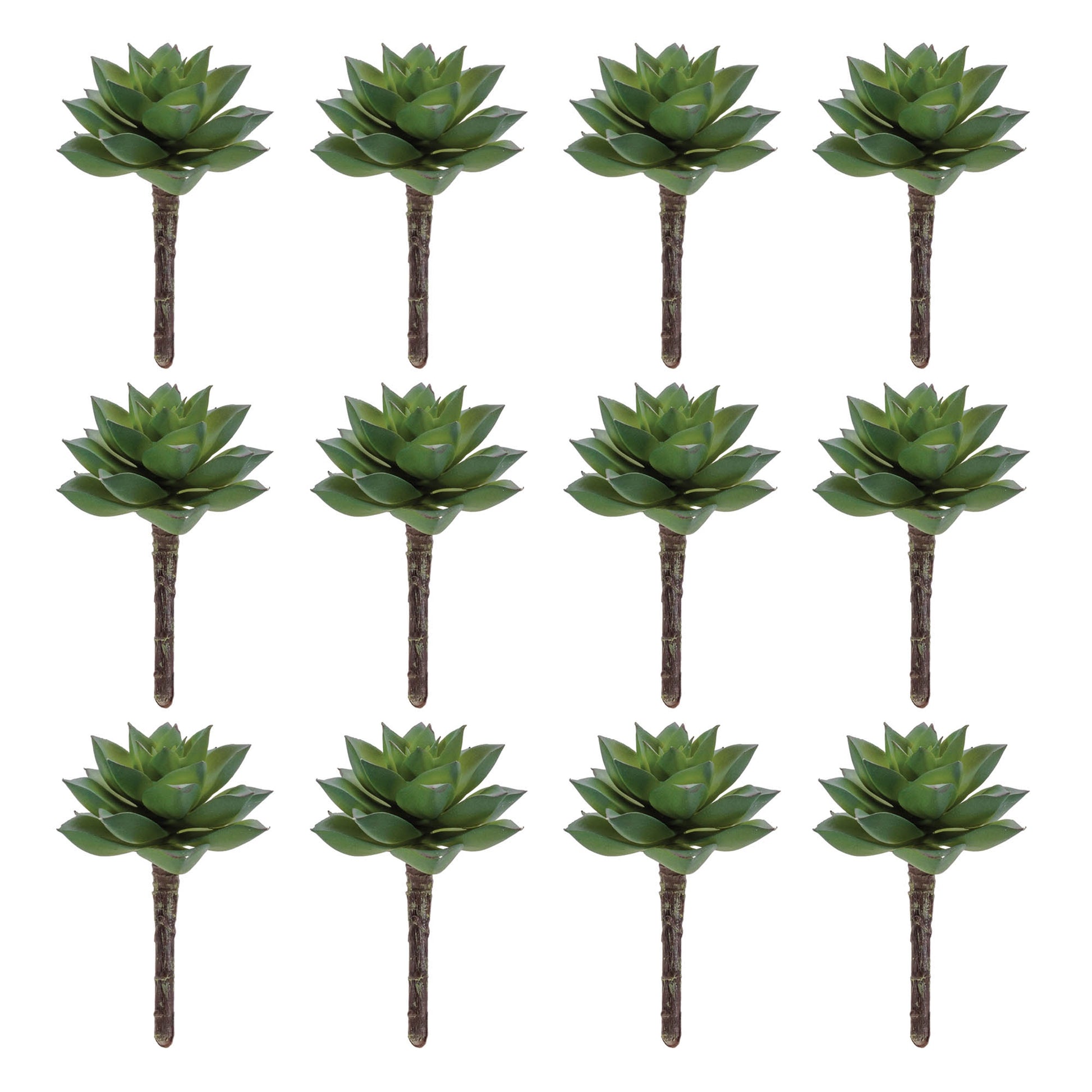 Succulent Plant Pick (Set of 12)