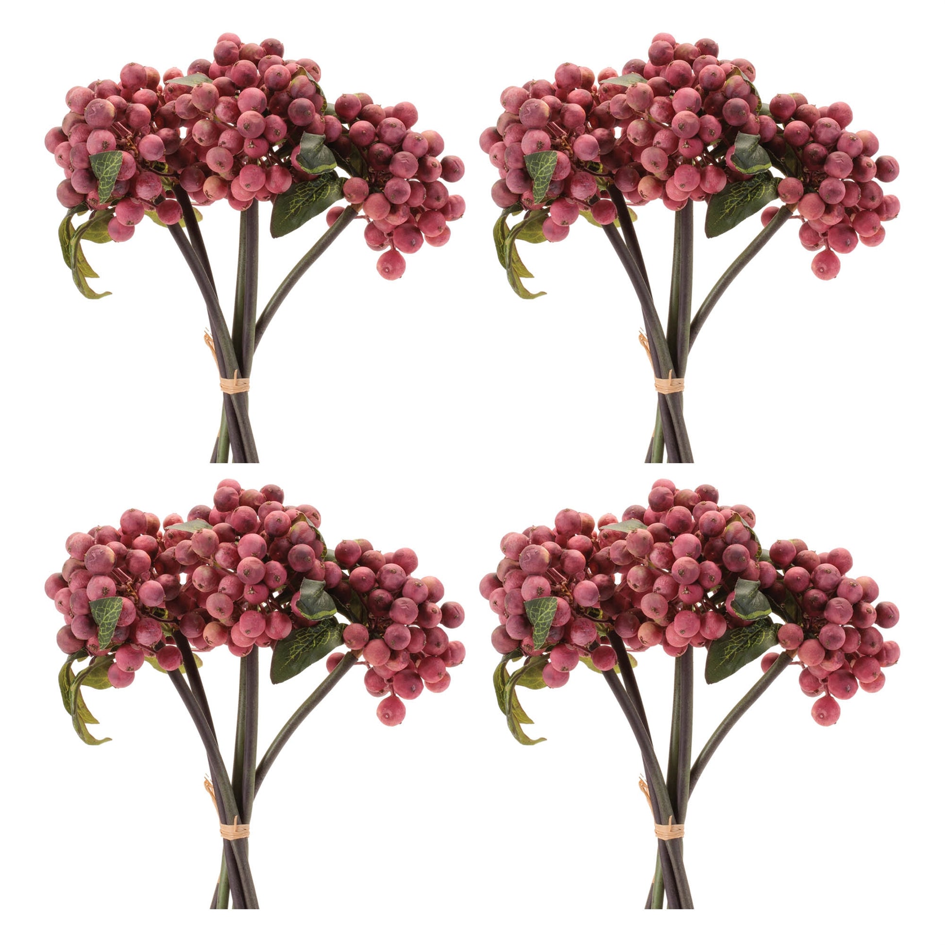 Berry Stem Bundle (Set of 4)