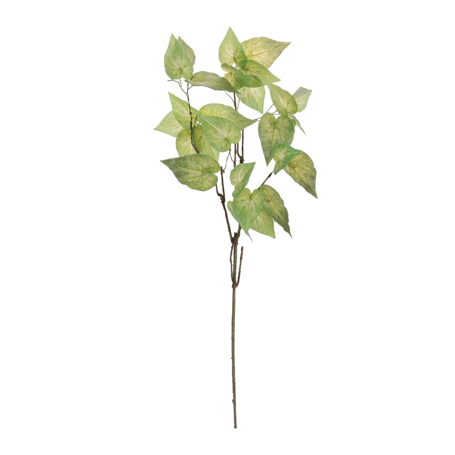 Anthurium Leaf Branch (Set of 4)