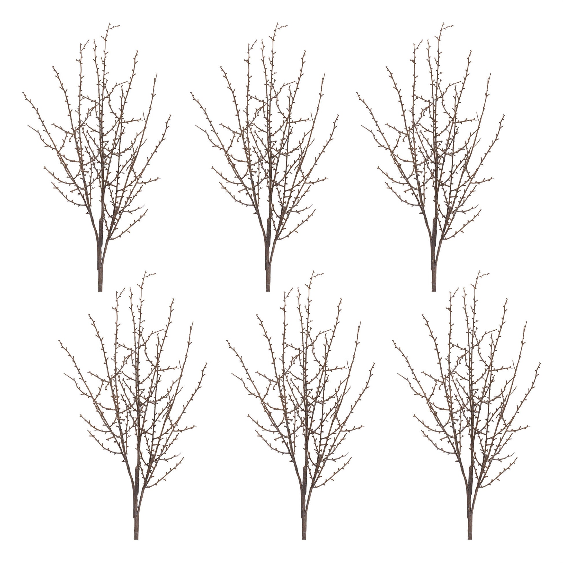 Birch Twig Branch (Set of 6)