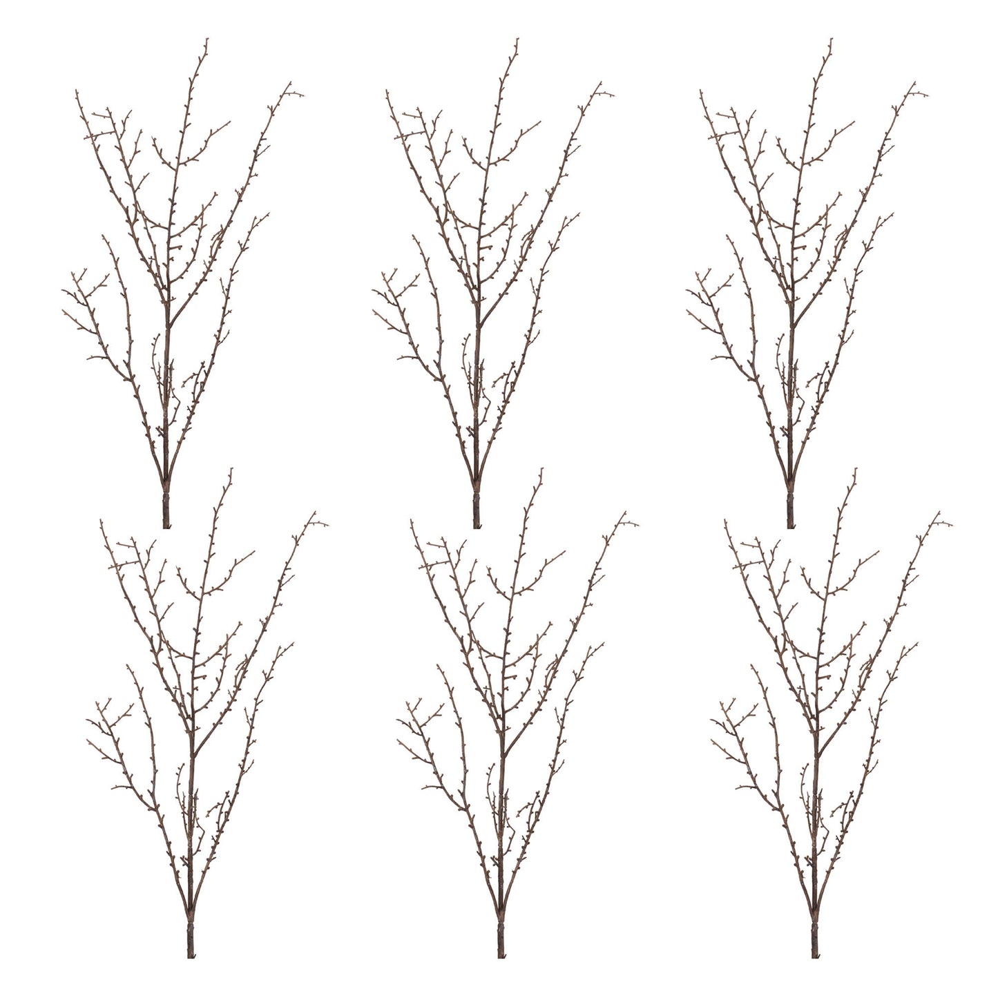 Birch Twig Branch (Set of 6)