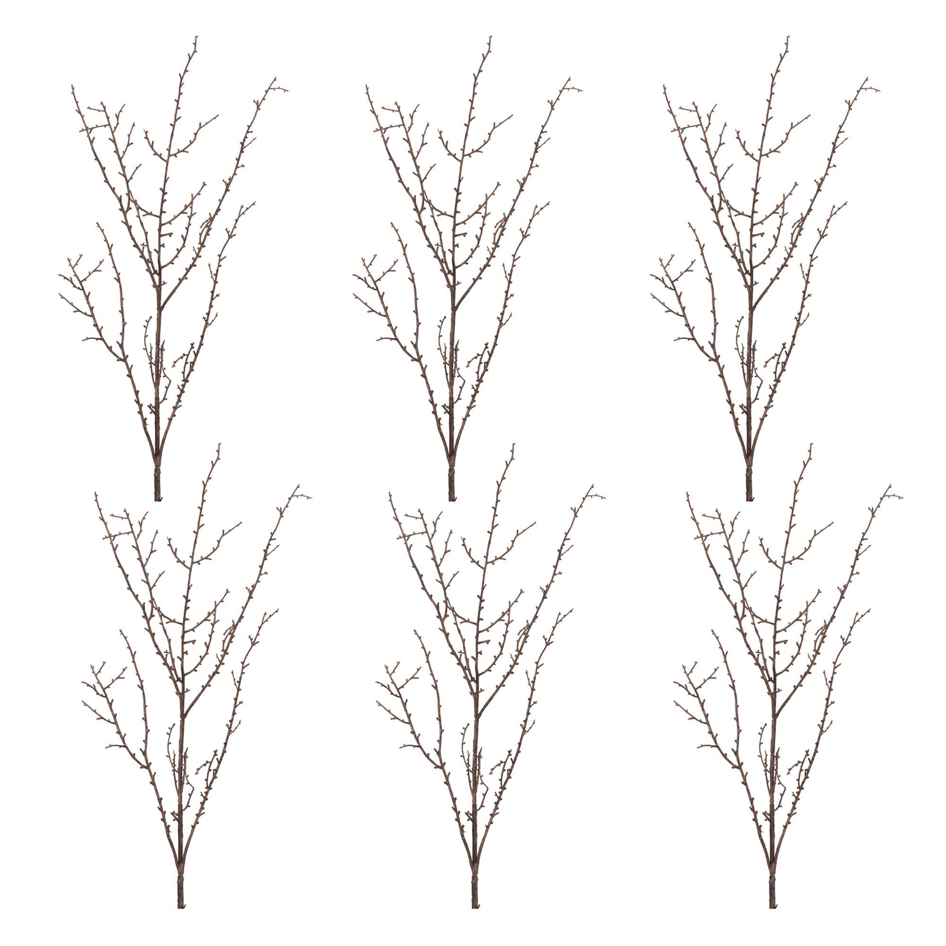 Birch Twig Branch (Set of 6)
