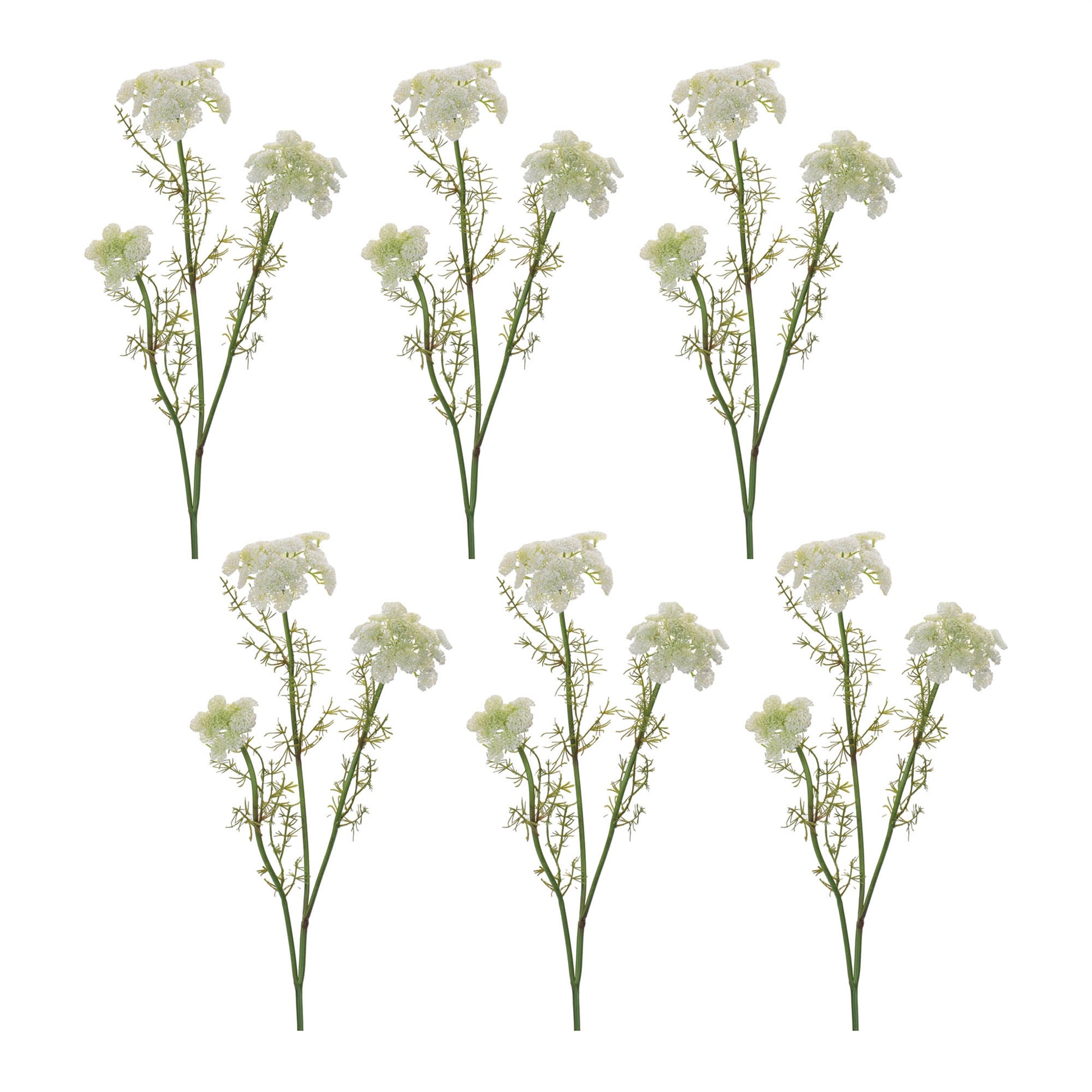 Queen Anne's Lace Floral Spray (Set of 6)