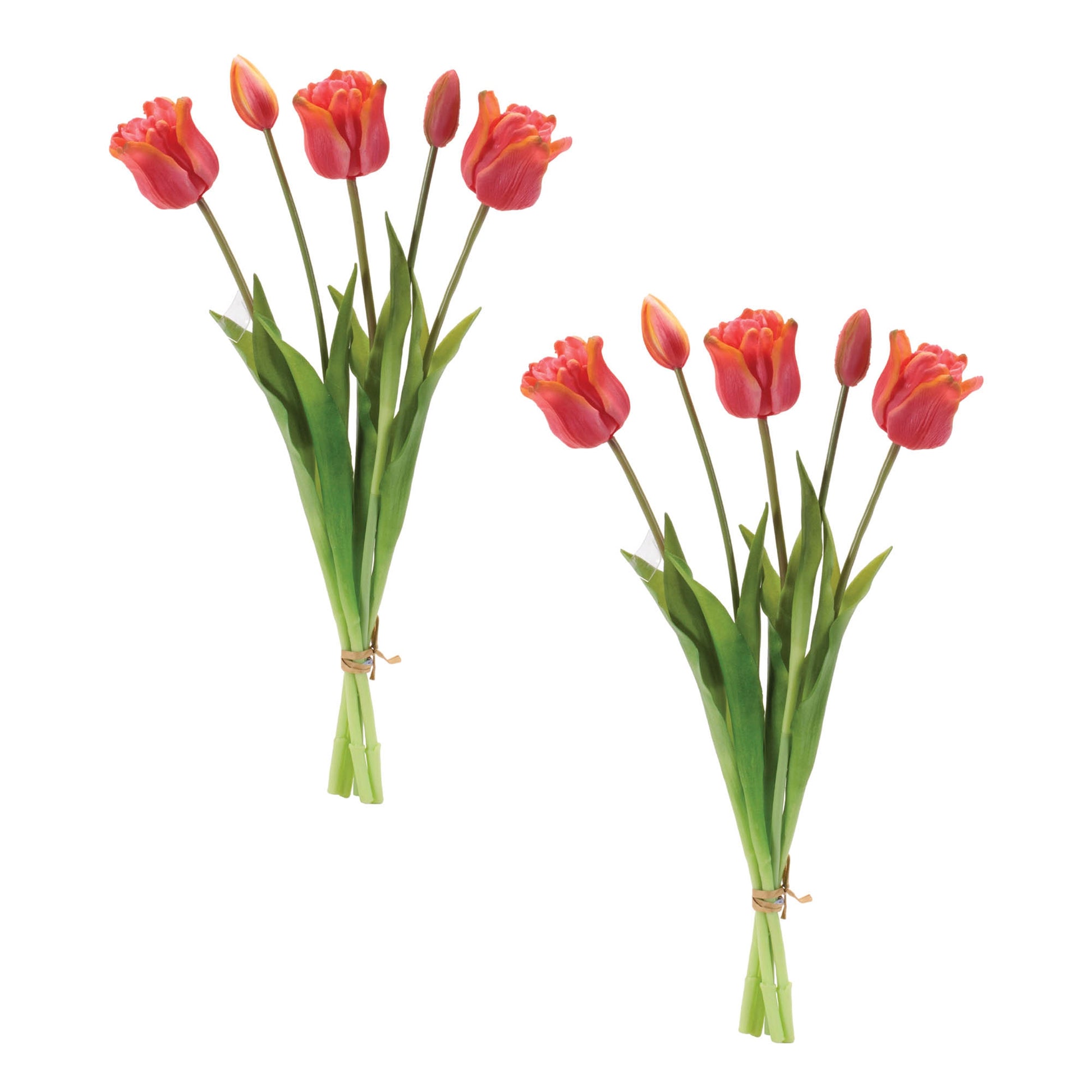 Tulip Floral Bundle (Set of 2)