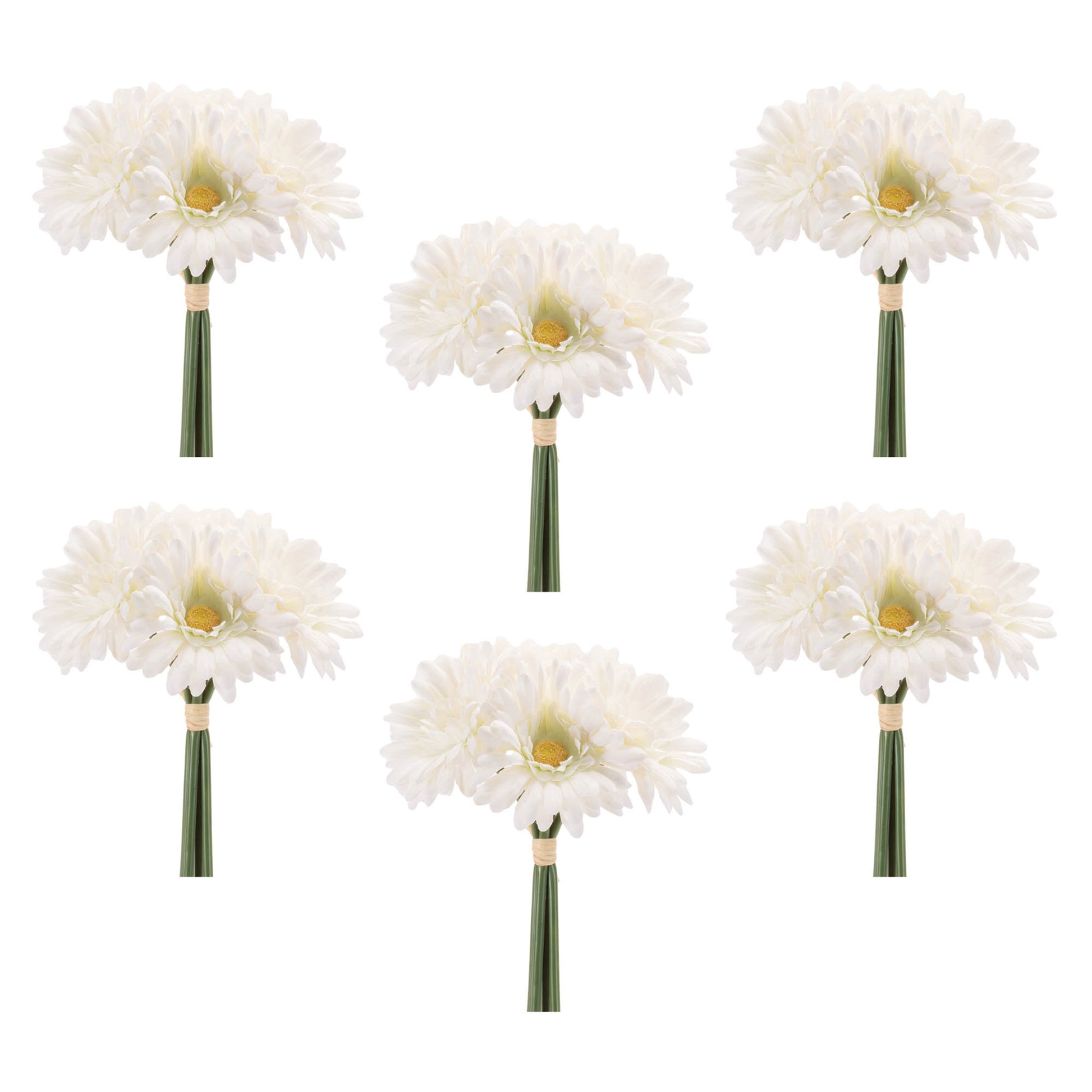 Gerbera Daisy Floral Bundle (Set of 6)