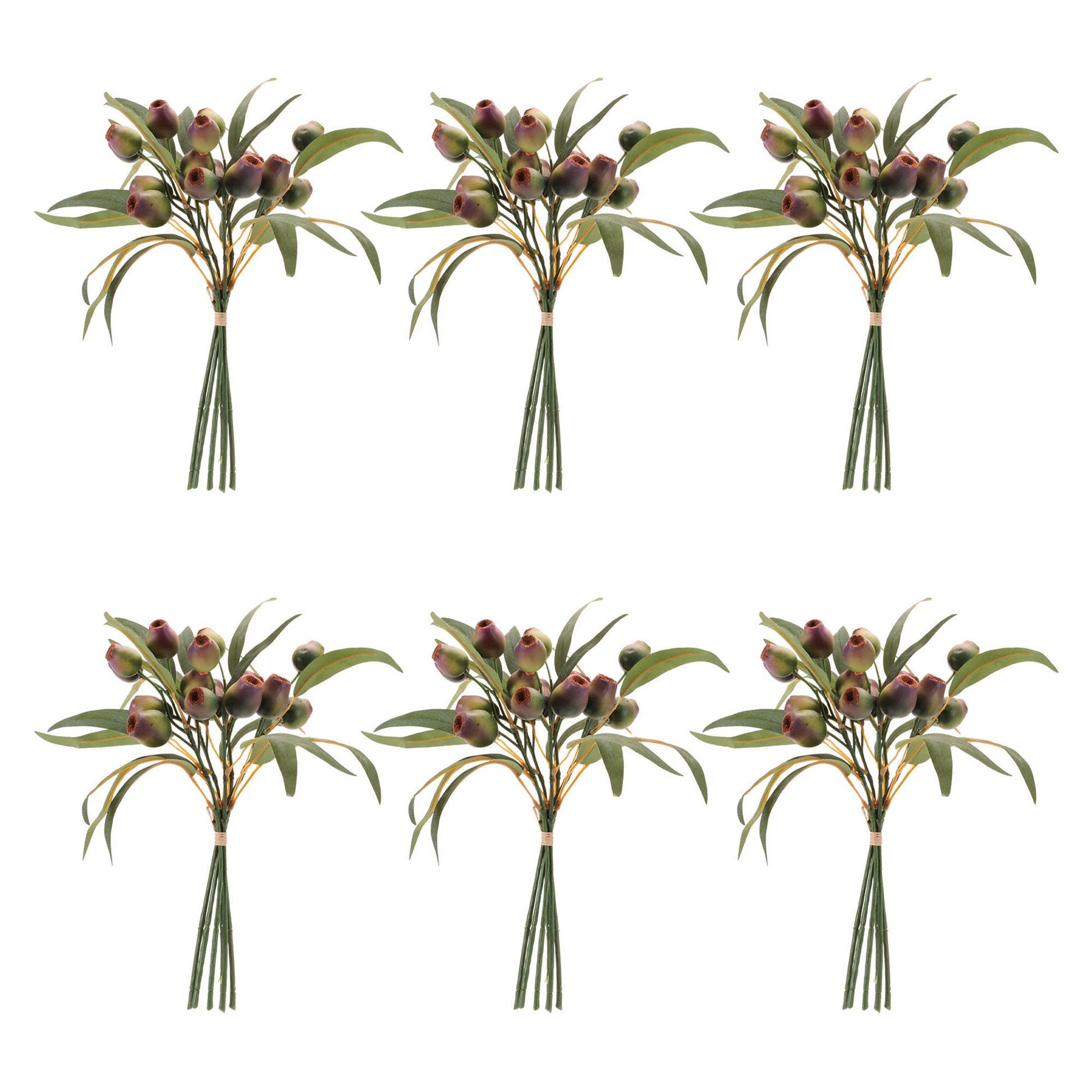 Pod Foliage Bundle (Set of 6)