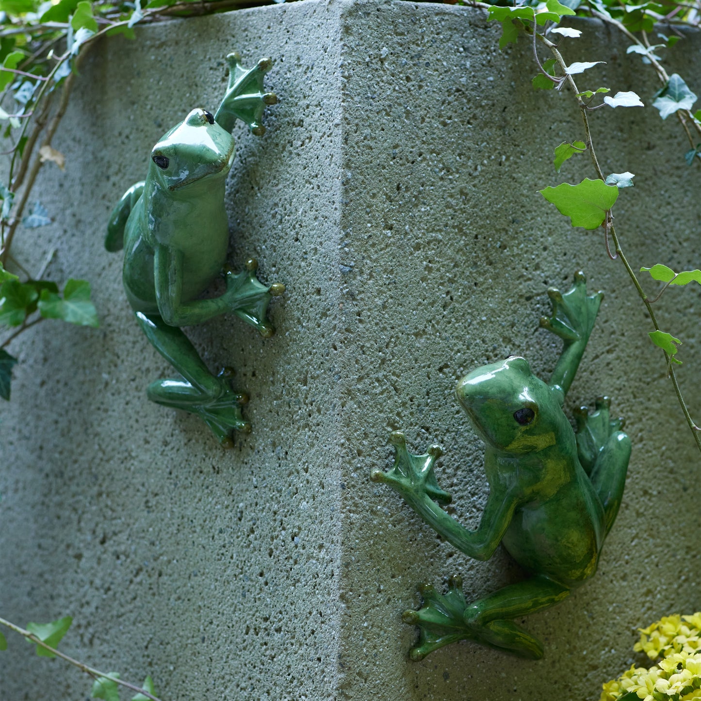 Stone Garden Frog Wall Accent (Set of 2)